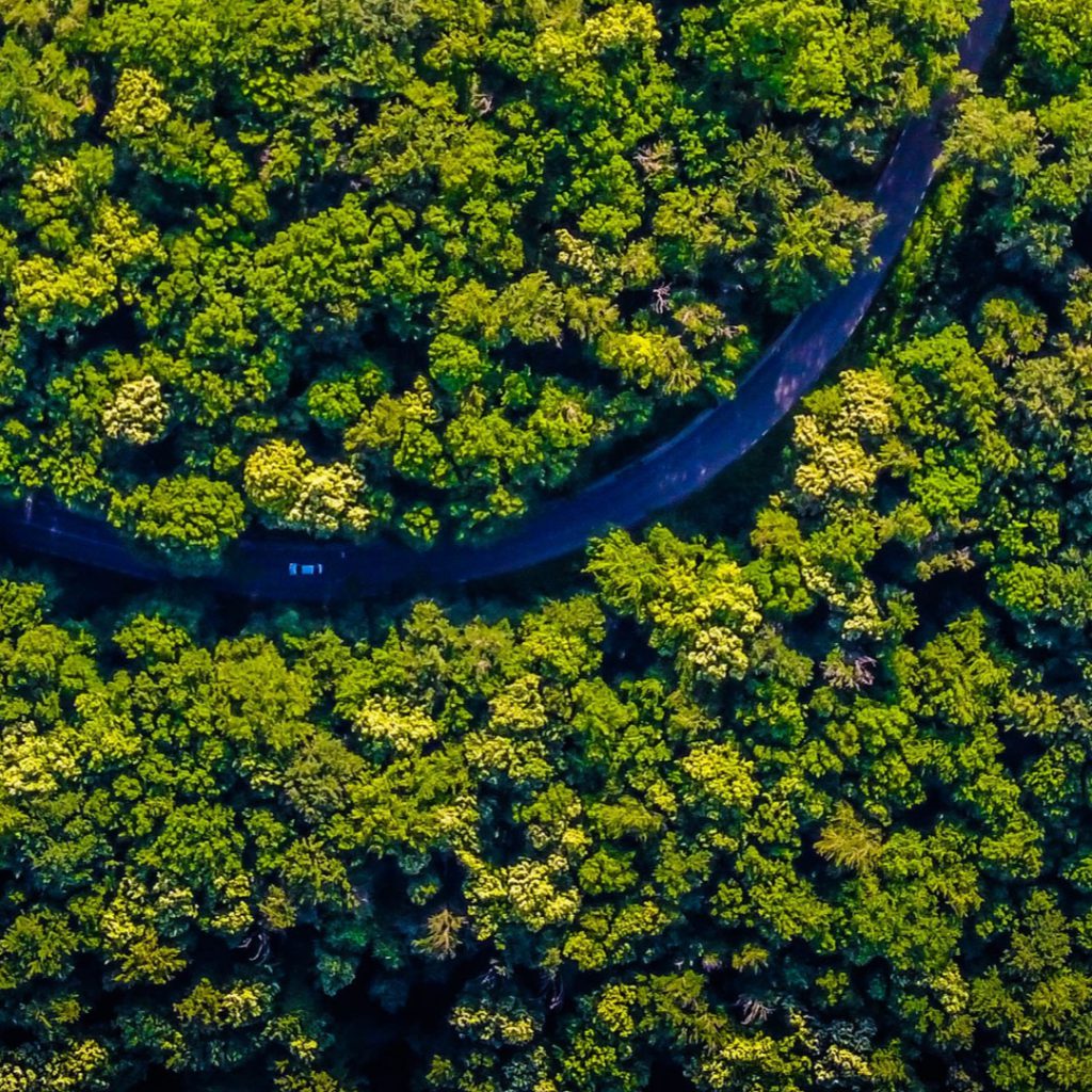 A Day in the Life: Prabhat Mishra, Director For Sustainability 