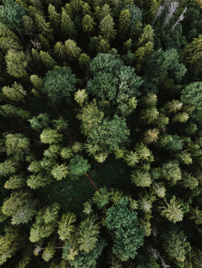 NONWOVENN GEARS UP FOR GROWTH WITH KEY COMMERCIAL DIRECTOR APPOINTMENT